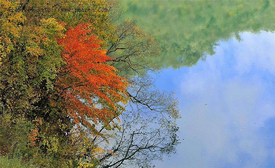 白马、王朗景色